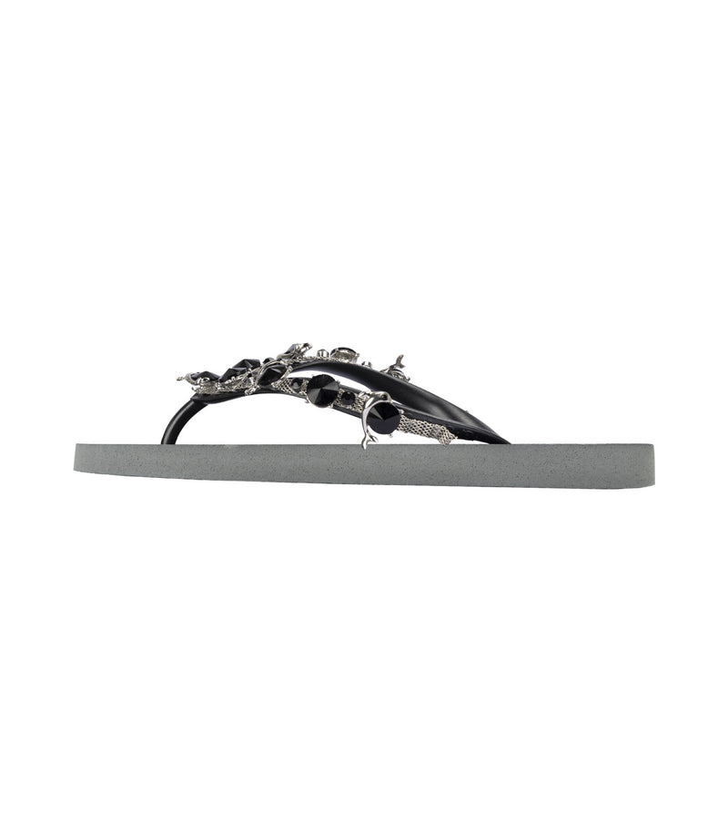 Black Dolphin - Zilver