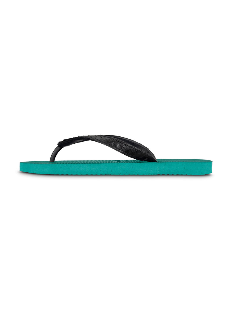Python Black - Bosgroen