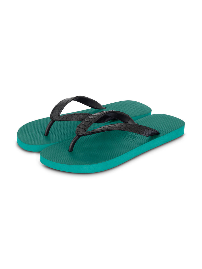 Python Black - Bosgroen
