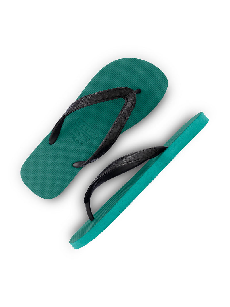 Python Black - Bosgroen