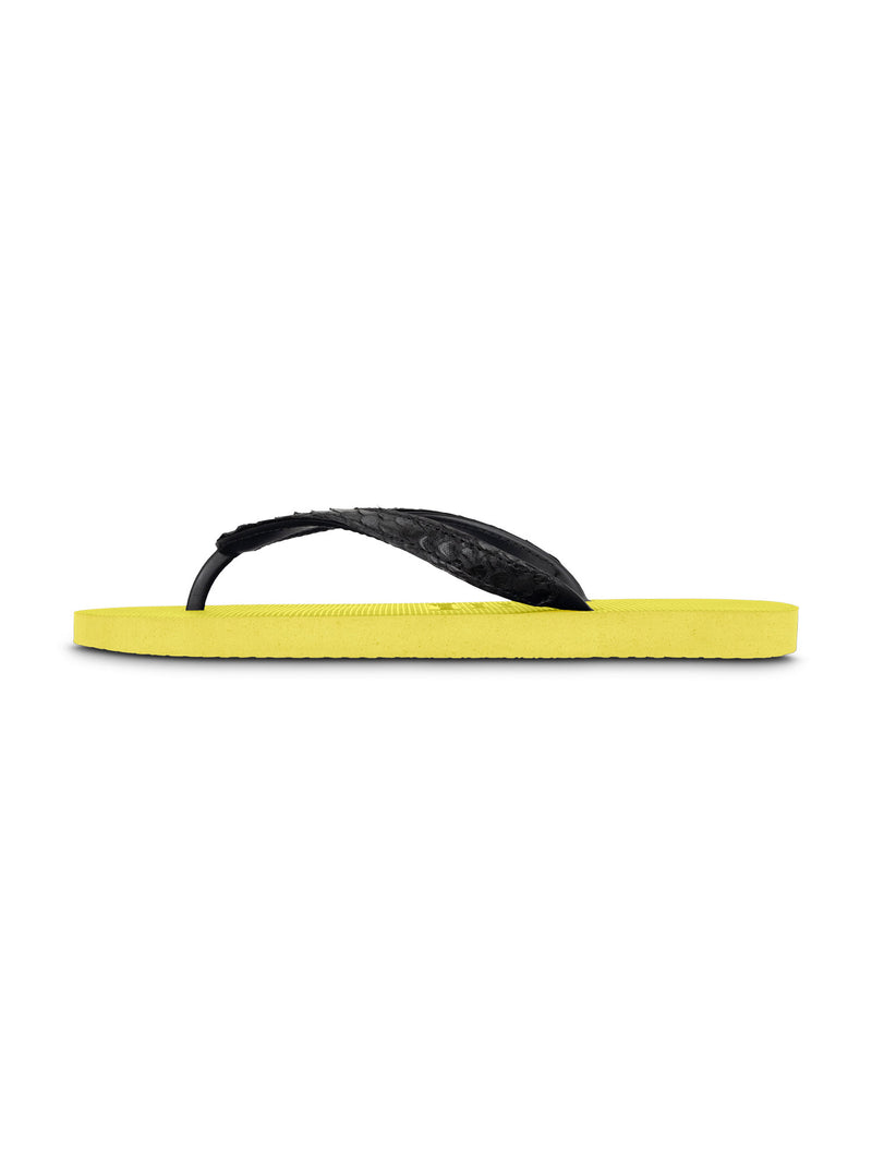 Python Black - Neon Lime