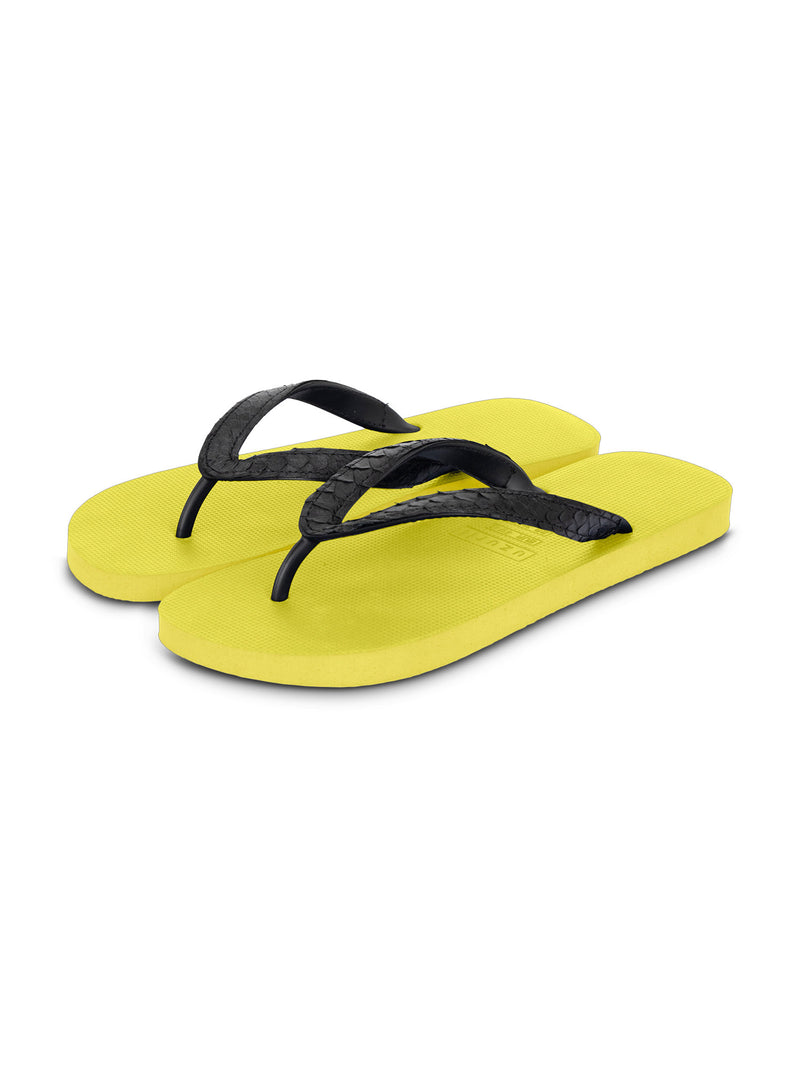 Python Black - Neon Lime