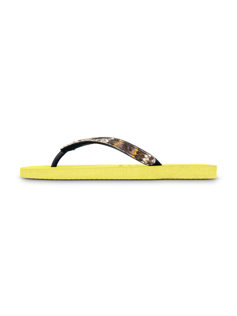 Python Taupe - Neon Lime