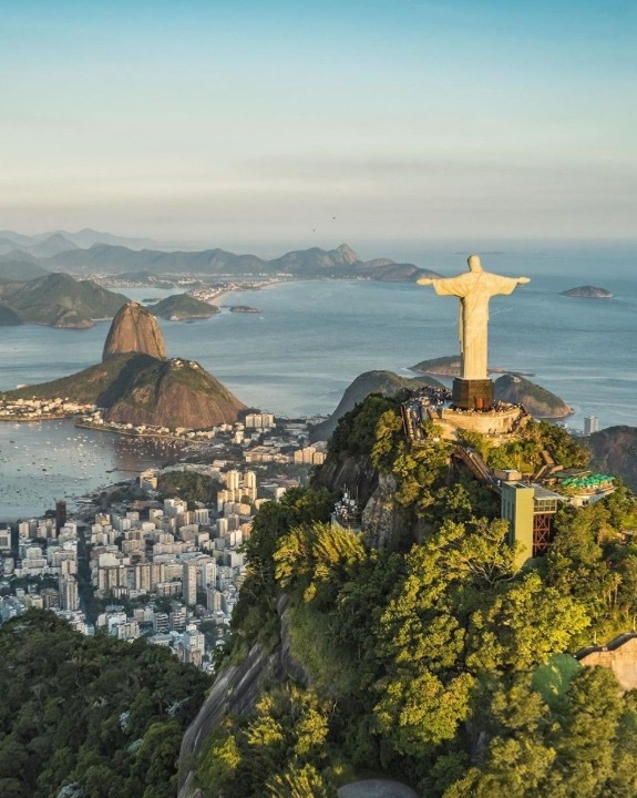 Brazilian roots